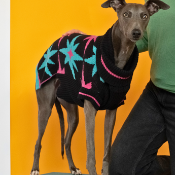 Starry Night Dog Jumper