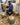 Person sitting on a chair with woven cat baskets