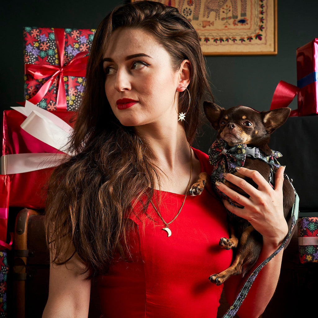Christmas Snowflakes Dog Bow Tie-Dog Collar Bow Tie-Hiro + Wolf