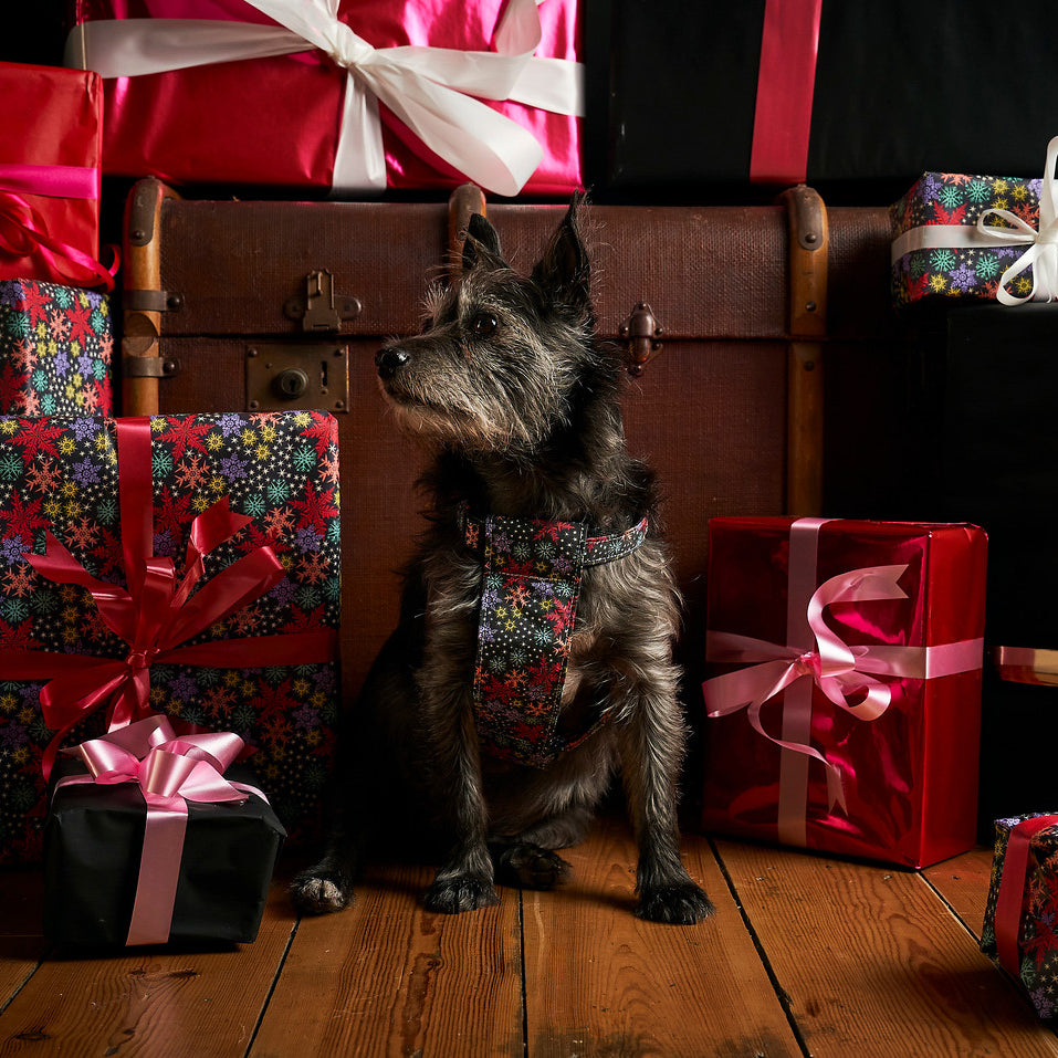 Christmas Snowflakes Dog Harness-Dog Harness-Hiro + Wolf
