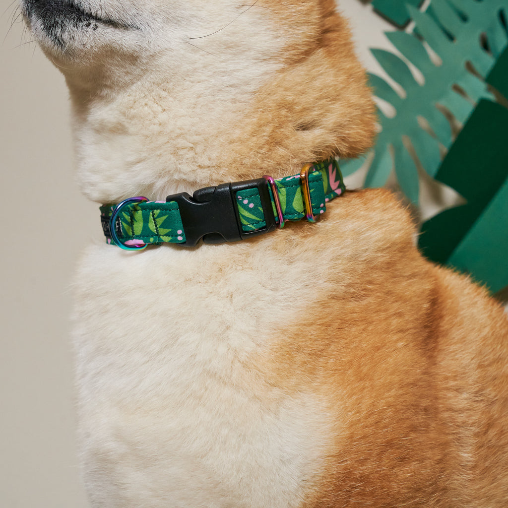 Combs Adjustable Dog Collar-Dog Collar-Hiro + Wolf