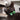 Combs Cat Bow Tie-Cat Collar Bow Tie-Hiro + Wolf
