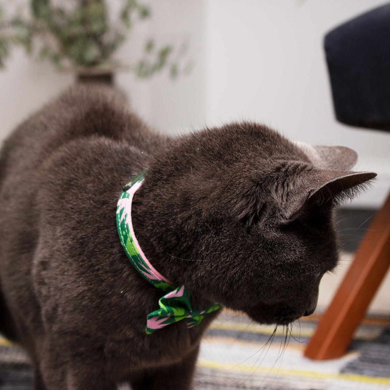 Combs Cat Collar-Cat Collar-Hiro + Wolf