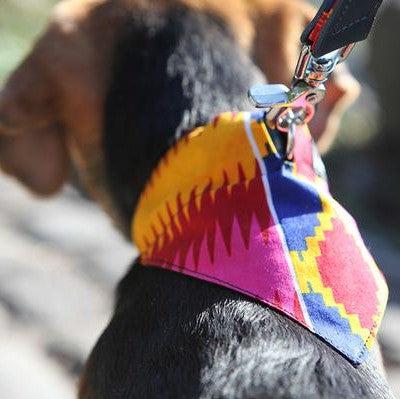 Dakar Dog Bandana-Dog Collar Bandana-Hiro + Wolf