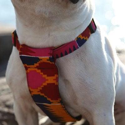 Dakar Dog Harness-Dog Harness-Hiro + Wolf