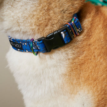 Eyes Adjustable Dog Collar-Dog Collar-Hiro + Wolf