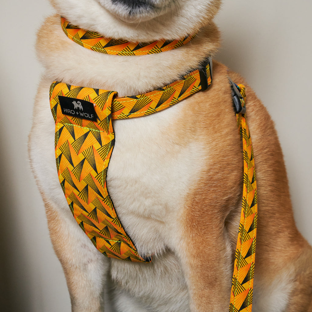 Fireworks Adjustable Dog Collar-Dog Collar-Hiro + Wolf