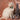 Happy Howlidays Cat Bow Tie-Cat Collar Bow Tie-Hiro + Wolf