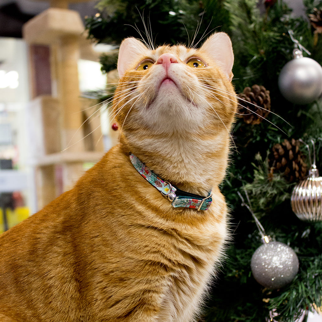 Happy Howlidays Cat Collar-Cat Collar-Hiro + Wolf