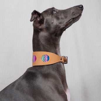 Inca Blue Hound Collar