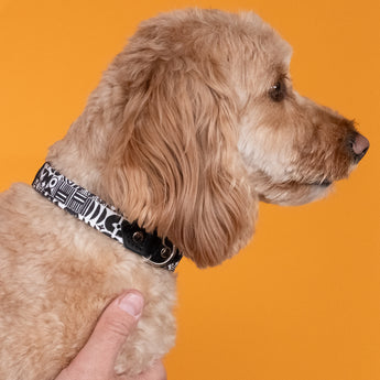 Bow Wow Haus Dog Collar