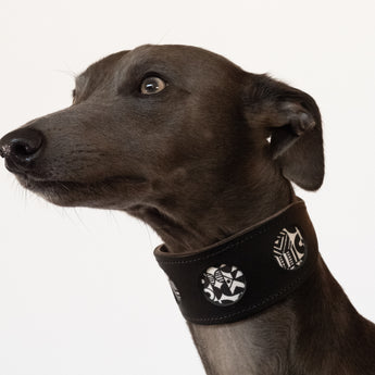 Bow Wow Haus Hound Collar