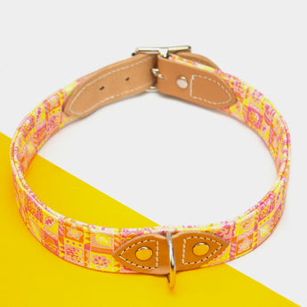 Summer Harvest Dog Collar