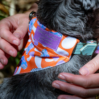 Magical Mushrooms Dog Bandana