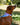 Brown dog wearing a colorful collar in a park setting
