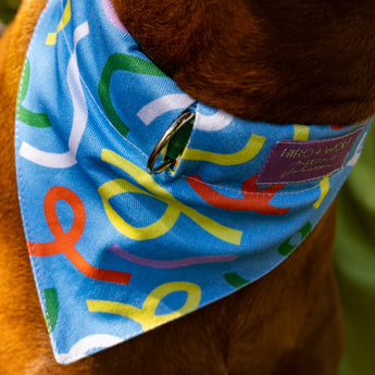Dog wearing a colorful bandana with a brand label on a blurred background