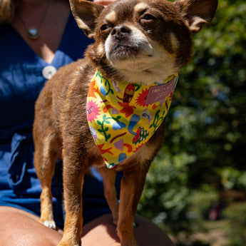 Psychedelic Garden Dog Bandana