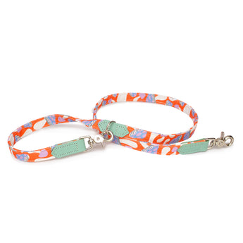 Magical Mushrooms Café Dog Lead