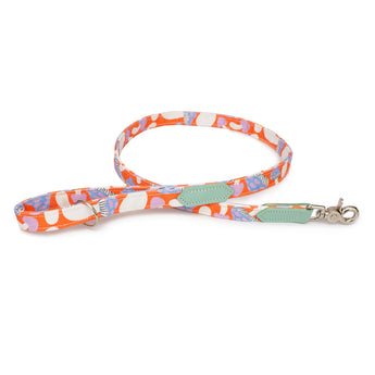 Magical Mushrooms Classic Dog Lead