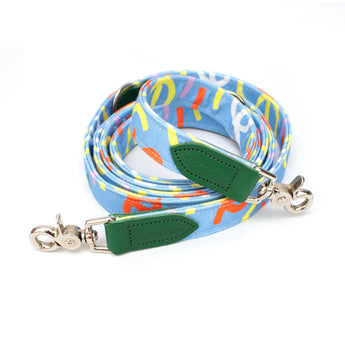 Colorful dog leash with a blue background and green accents on a white background