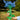 Hand holding a blue and green felt flower toy outdoors with trees in the background