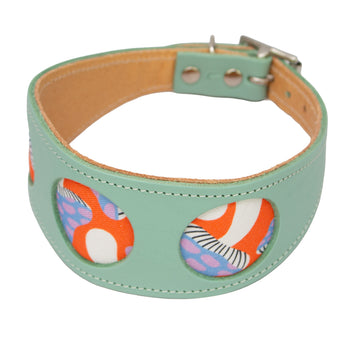Whippet dog collar showcasing bright Magical Mushrooms pattern, handmade for comfort and style, great as a greyhound house collar UK and collar and lead set