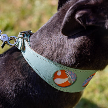 Close-up of Hiro + Wolf Magical Mushrooms whippet collar leather featuring vibrant mushroom print, ideal as a whippet collar puppy accessory or greyhound collar UK