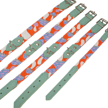 Magical Mushrooms Dog Collar