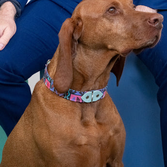 Mud Cloth Dog Collar