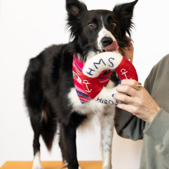 Nautical Dog Tug Toy