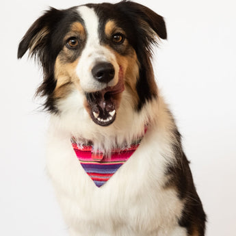 Inca Pink Dog Bandana