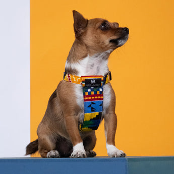 Kente Dog Harness