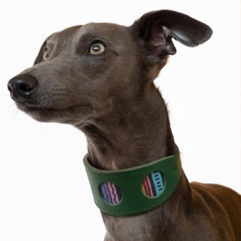 Rainbow Stripe Hound Collar