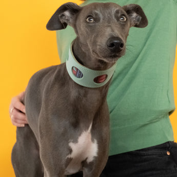 Mud Cloth Hound Collar