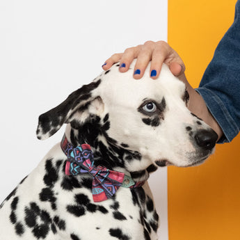 Mud Cloth Dog Bow Tie