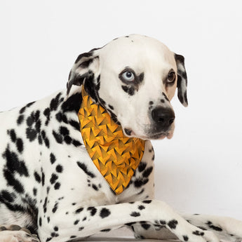 Fireworks Dog Bandana