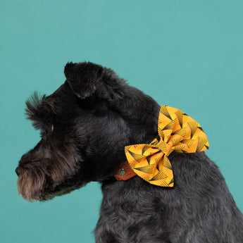 Fireworks Dog Bow Tie