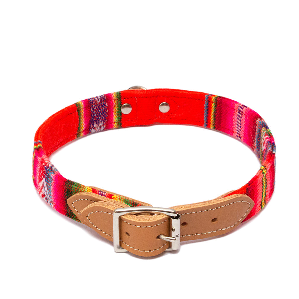 Inca Orange Dog Collar-Dog Collar-Hiro + Wolf