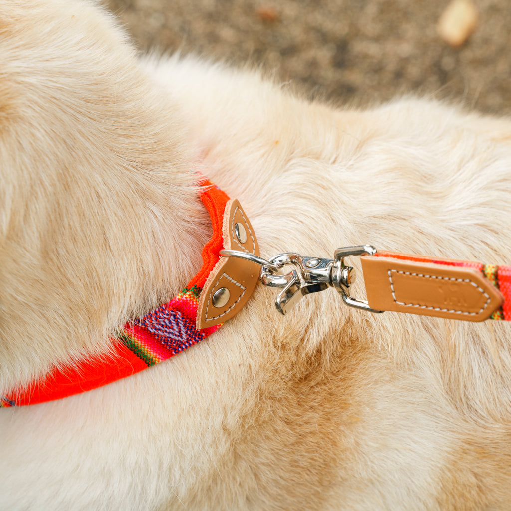 Inca Orange Dog Collar-Dog Collar-Hiro + Wolf