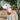 Inca Orange Hound Collar-Hound Collar-Hiro + Wolf