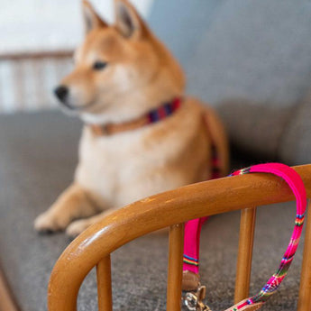 Inca Pink Café Dog Lead-Cafe Lead-Hiro + Wolf