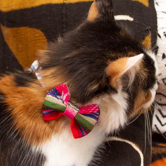 Inca Pink Cat Bow Tie-Cat Collar Bow Tie-Hiro + Wolf