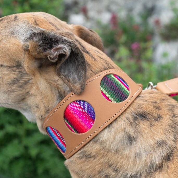 Inca Pink Hound Collar-Hound Collar-Hiro + Wolf
