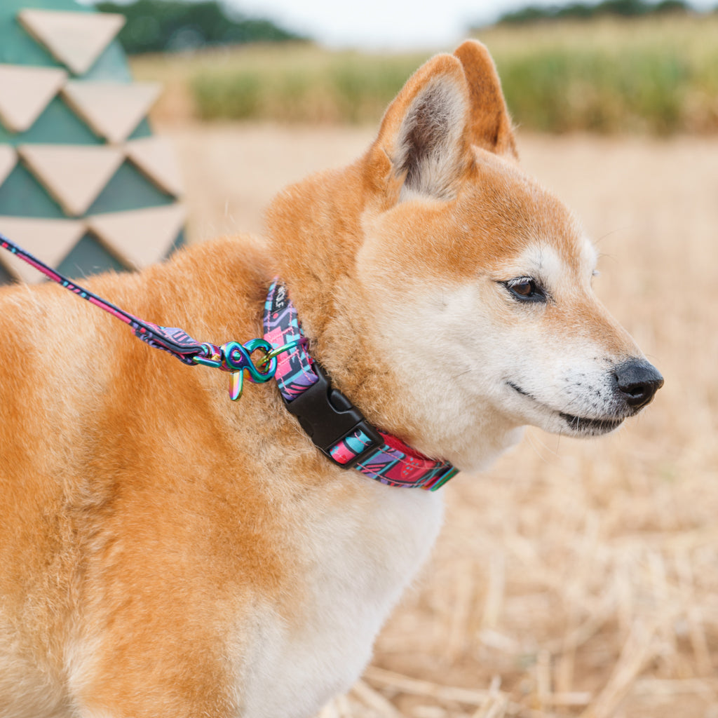 Mud Cloth Adjustable Dog Collar-Dog Collar-Hiro + Wolf