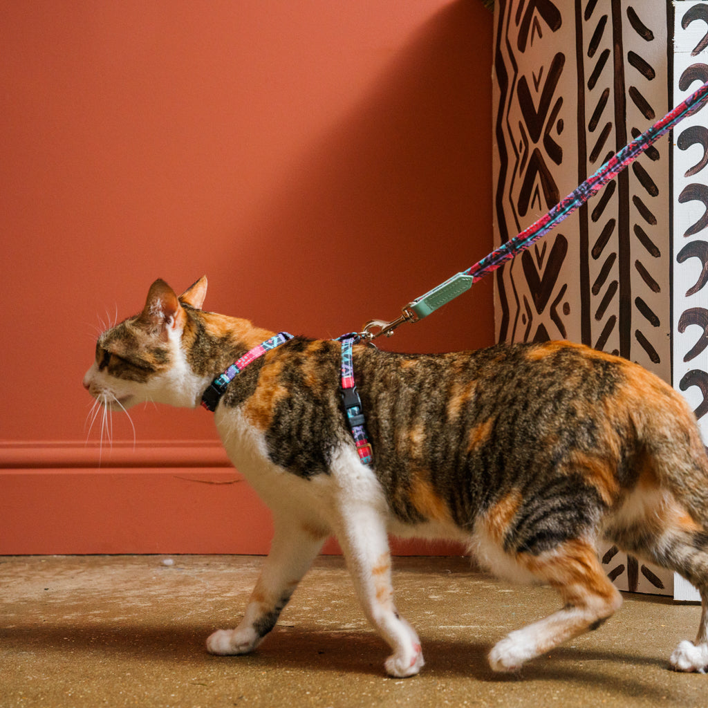 Mud Cloth Cat Harness-Cat Harness-Hiro + Wolf