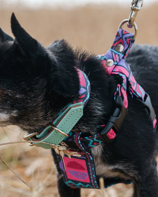Mud Cloth Dog Harness-Dog Harness-Hiro + Wolf