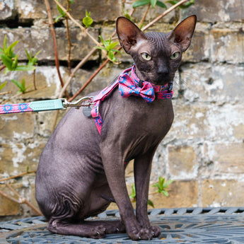 Nebula Cat Bow Tie-Cat Collar Bow Tie-Hiro + Wolf