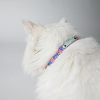 Nebula Cat Collar-Cat Collar-Hiro + Wolf