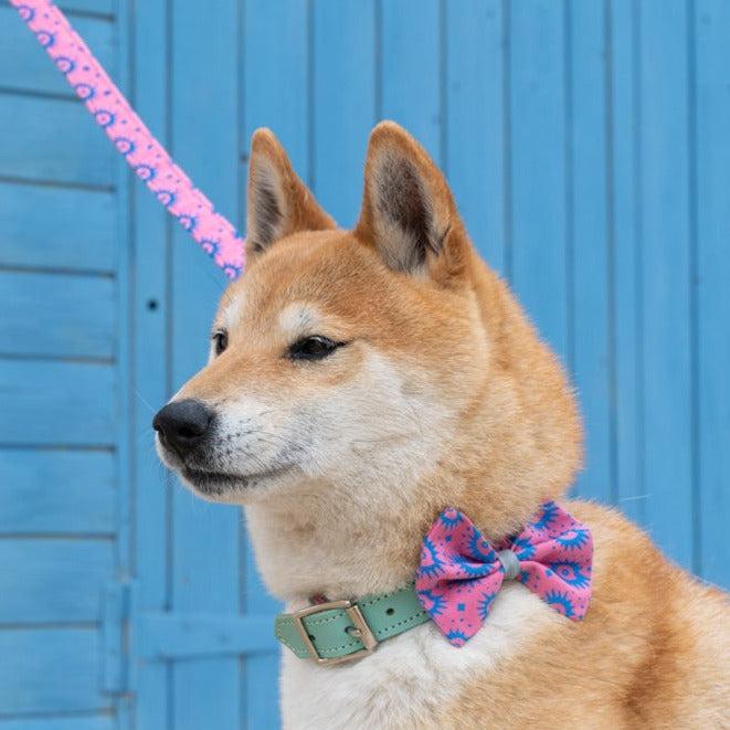 Nebula Dog Bow Tie-Dog Collar Bow Tie-Hiro + Wolf