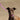 Nebula Dog Collar-Dog Collar-Hiro + Wolf